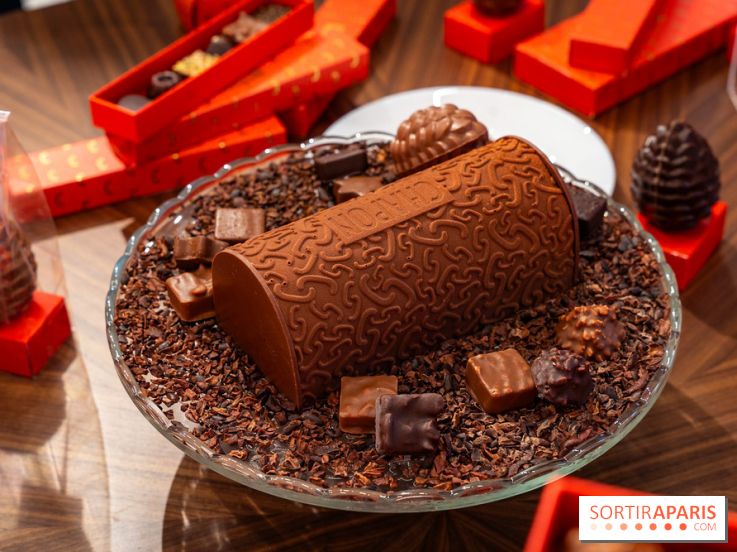 Bûche de Noël et créations de fête de Chapon 2025 - A7C07442