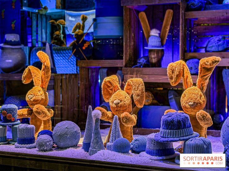 Les vitrines de Noël 2025 du Bon Marché : le grand magasin se métamorphose en (Bon) Marché de Noël - IMG 0782