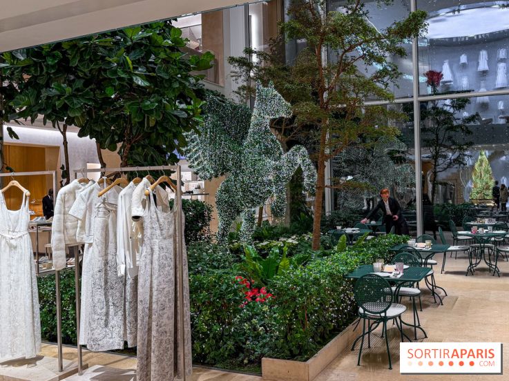 Noël 2025 Dior 30 Montaigne