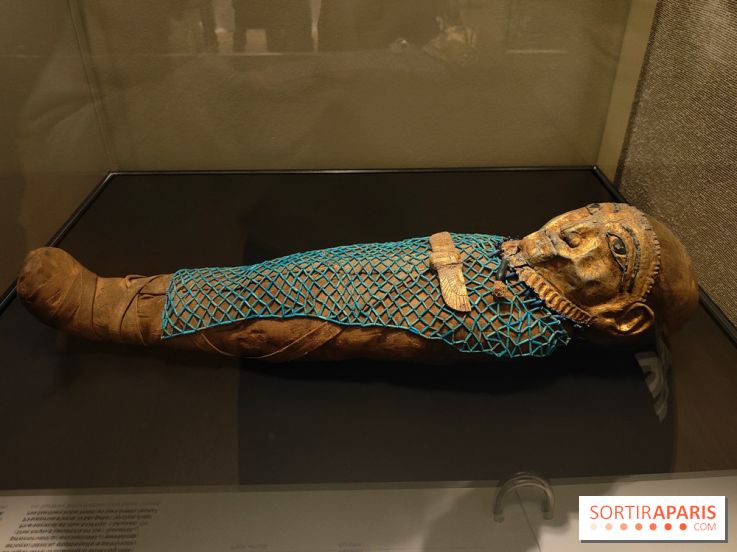 Momies : une exposition insolite et troublante à découvrir au musée de l'Homme