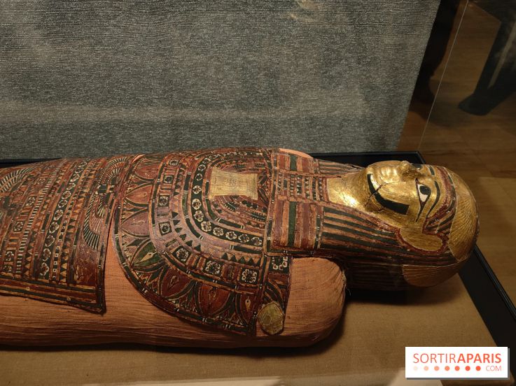 Momies : une exposition insolite et troublante à découvrir au musée de l'Homme