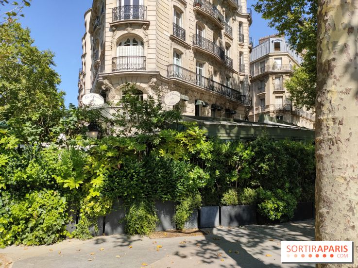 Visuels Paris - Closerie des Lilas 