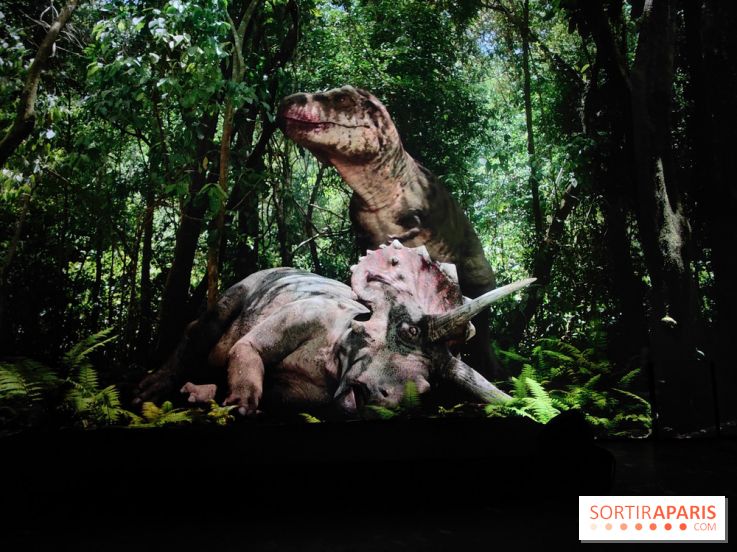 Dinosaures : l'expérience immersive qui nous fait remonter le temps à l'Atelier des Lumières, photos