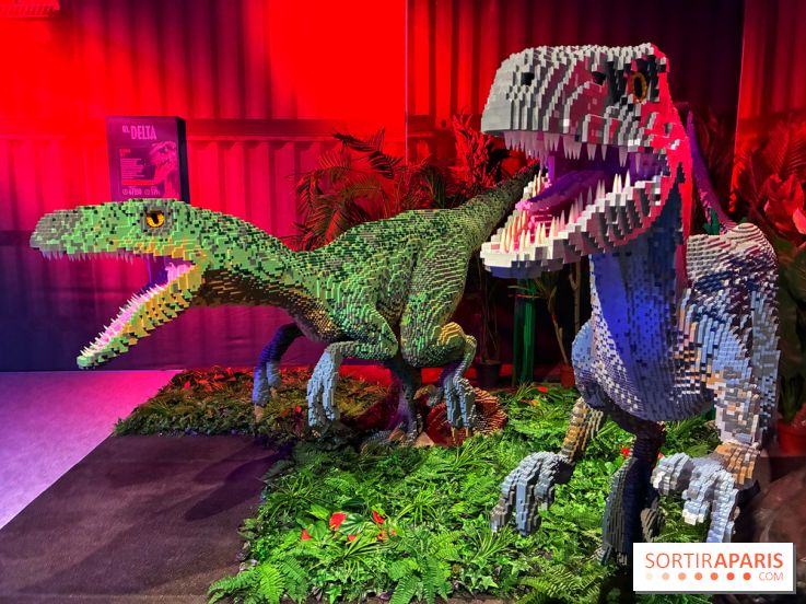 Dinosaures LEGO - IMG 2021