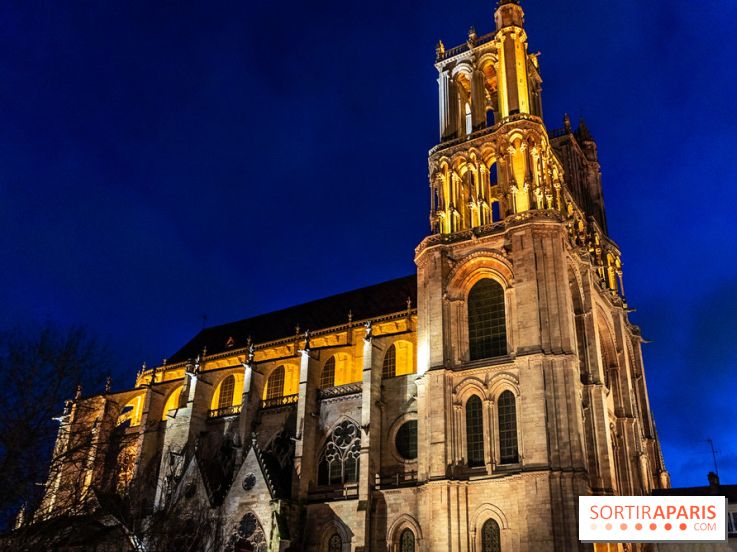 Lueurs de Mantes 2026, les photos du parcours lumineux gratuit des Yvelines