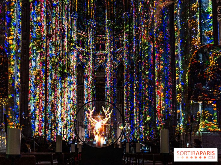 L'Odyssée Céleste à l'église Saint-Eustache à Paris, le nouveau spectacle Luminiscence 