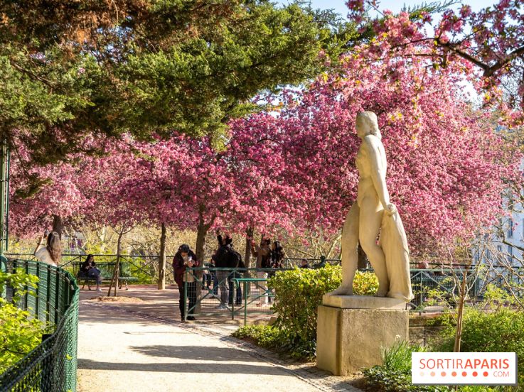 Les pommiers et cerisiers en fleurs du Jardin de Reuilly, Parc de Reuilly à Paris 12e - photos  - balade