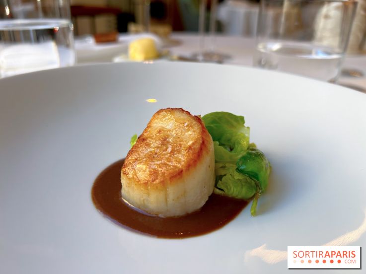 Alliance - Noix de Saint-Jacques à l'unilatéral, chou de Bruxelles, sauce réduite au vin rouge et barbes
