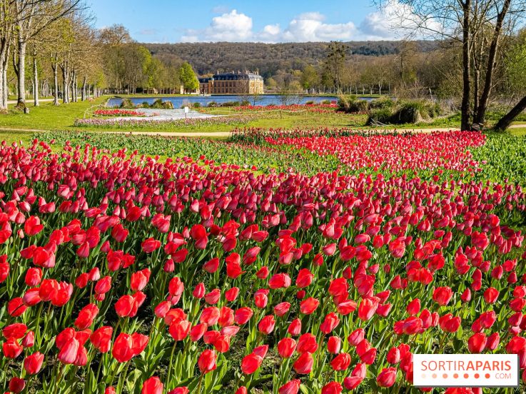 Les tulipes du Château de Dampierre, son jardin anglais et le jardin Le Nôtre