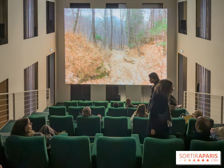 Expositions Diego Marcon et Ladji Diaby à Lafayette Anticipations - IMG 5538