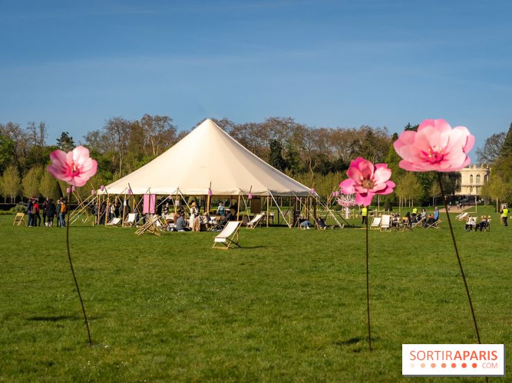 Hanami au Parc de Sceaux 2026, les cerisiers en fleurs et ses  animations - A7C01621