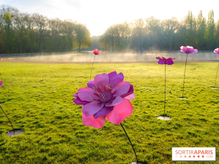 Hanami au Parc de Sceaux 2026, les cerisiers en fleurs et ses  animations - A7C01368