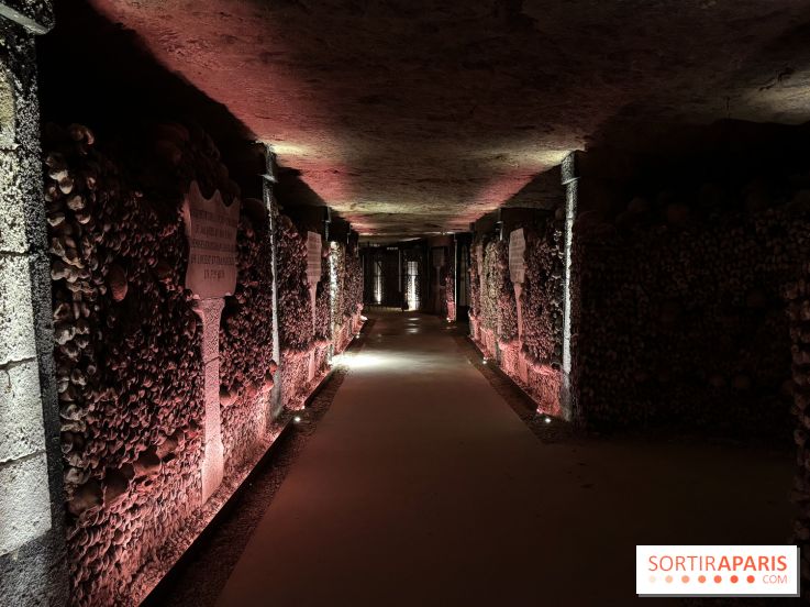 Les Catacombes de Paris 2026 - IMG 3677