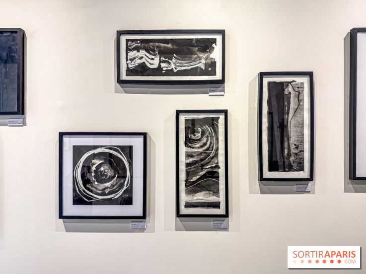 Fantôme à la galerie La Lison : exposition Avant les cendres