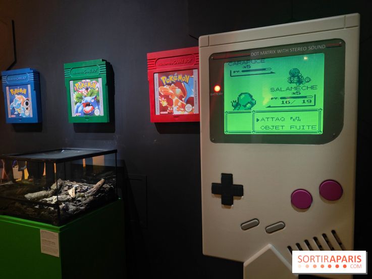Admirez-les tous, Pokémon à l'honneur dans une exposition ludique et régressive au musée en Herbe