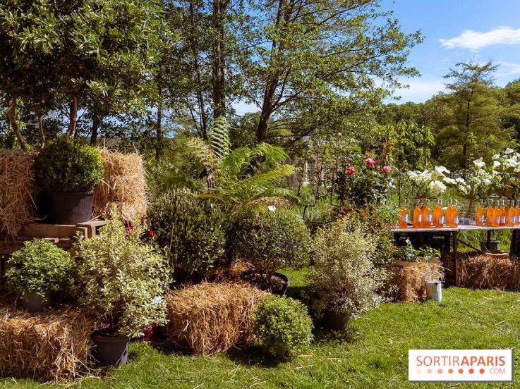 Fête des Plantes au Château de Dampierre dans les Yvelines - photos