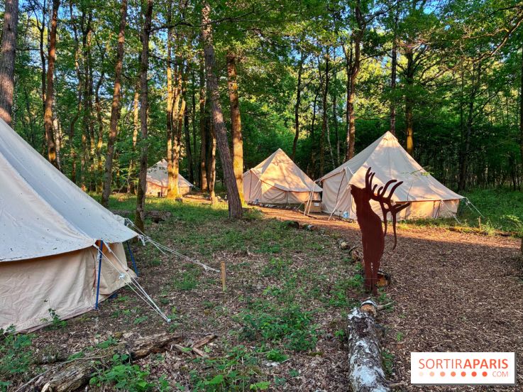 Bivouac avec les loups