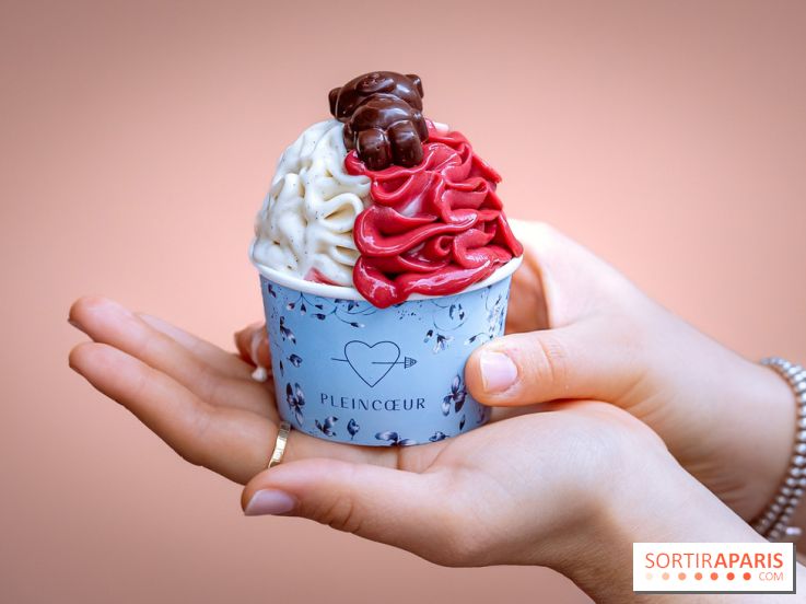 Le comptoir à glaces de Pleincœur et ses coupes glacées - photos