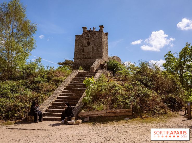 Liaisons douces à Fontainebleau : la forêt à vélo, les photos