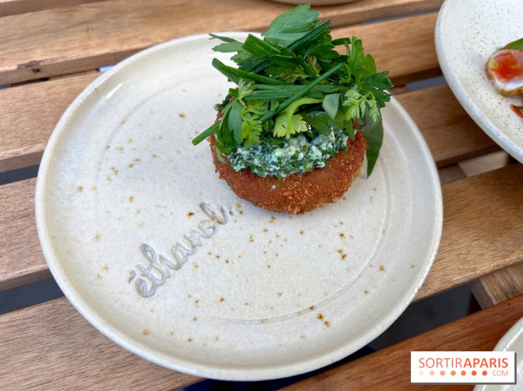 Ethanol - Croquettes de rillettes