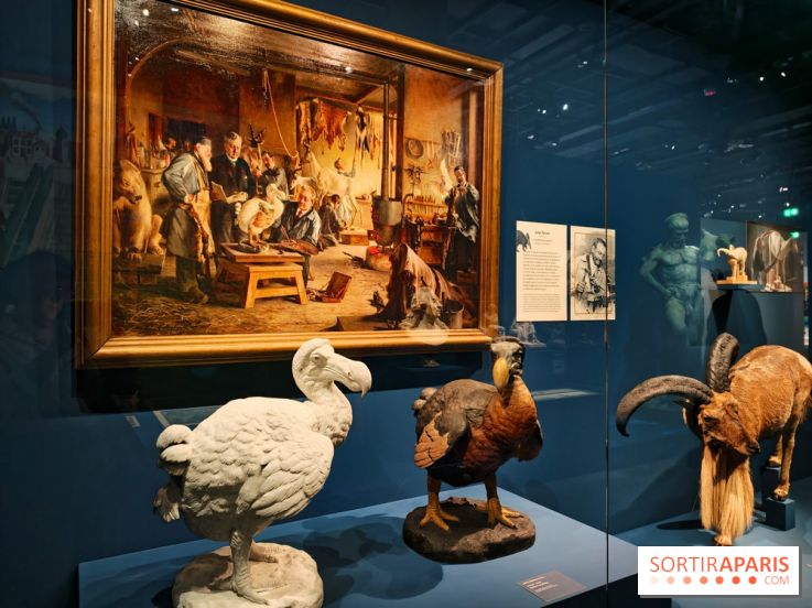 Artistes au Muséum : l'expo anniversaire pour les 400 ans du Muséum national d'Histoire naturelle