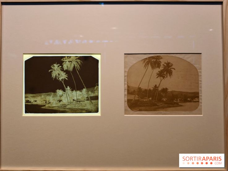 Voir Tahiti : une exposition qui dévoile les premières photos du XIXe siècle au musée du Quai Branly