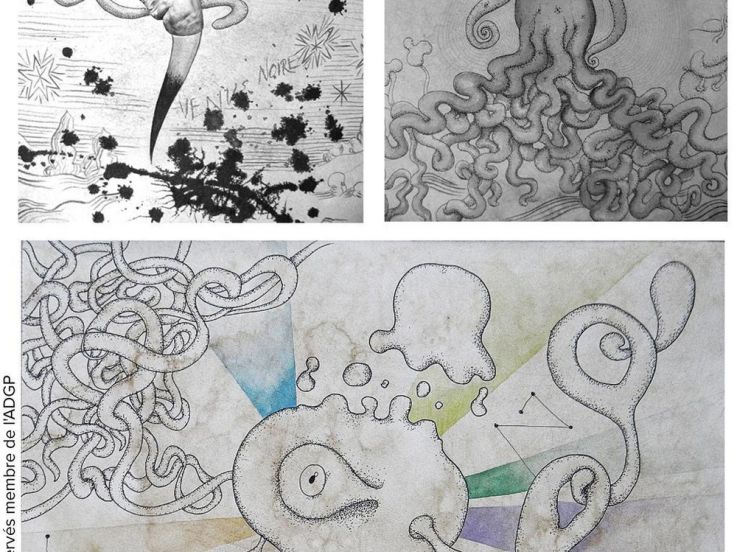 Exposition N°1 "Le Chaînon-Manquant"