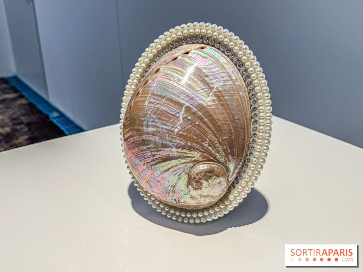 Hélène Fauquet : Vivresse, l’exposition entre bulles et coquillages à Lafayette Anticipations.