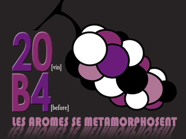 20B4