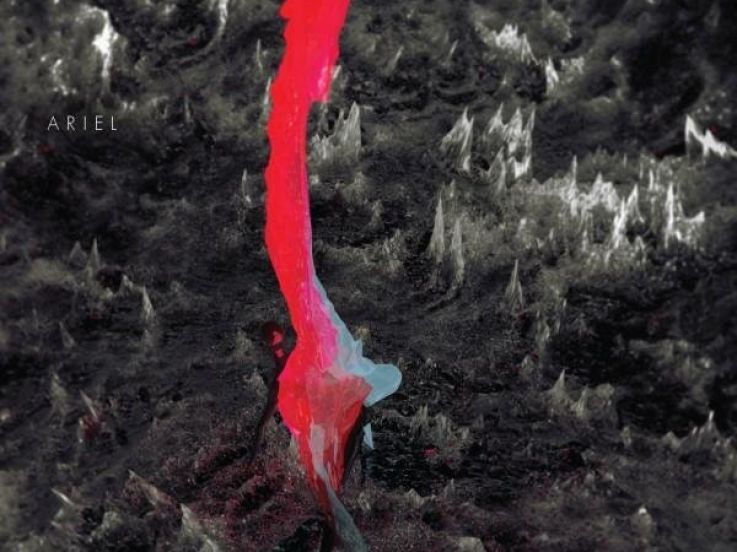 Stateless, Sayem, Blackjoy, EDH et Hypo, Fleche d'or