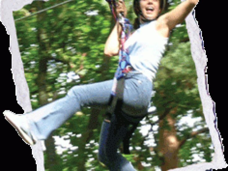 atout branches, milly la forêt