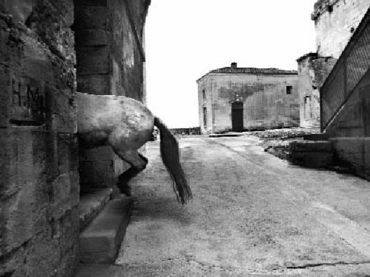 Centre des Monuments Nationaux, Animonuments, Musée de la Chasse et de la Nature,