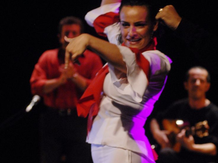 flamenco 