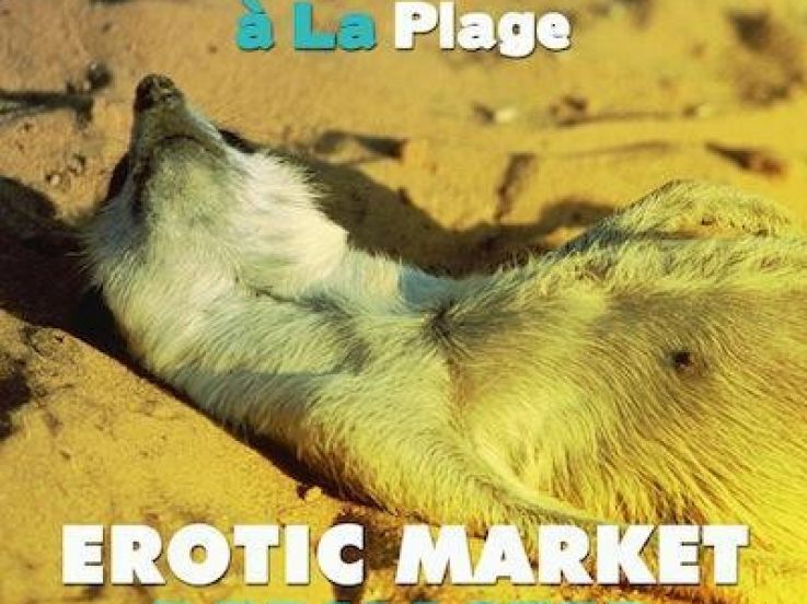 La Mangouste à LaPlage