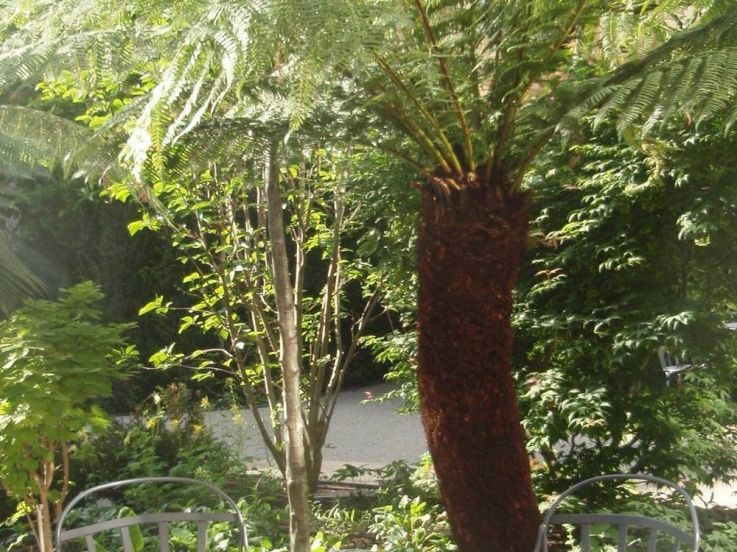 Hôtel renaissance, le parc  Trocadéro, Mariott, Jean-Philippe Nuel, 16ème arrondissement, 5 étoiles