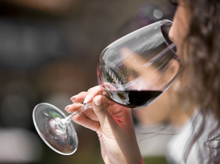 DEGUST'Emoi : découvrez le vin en 2 heures