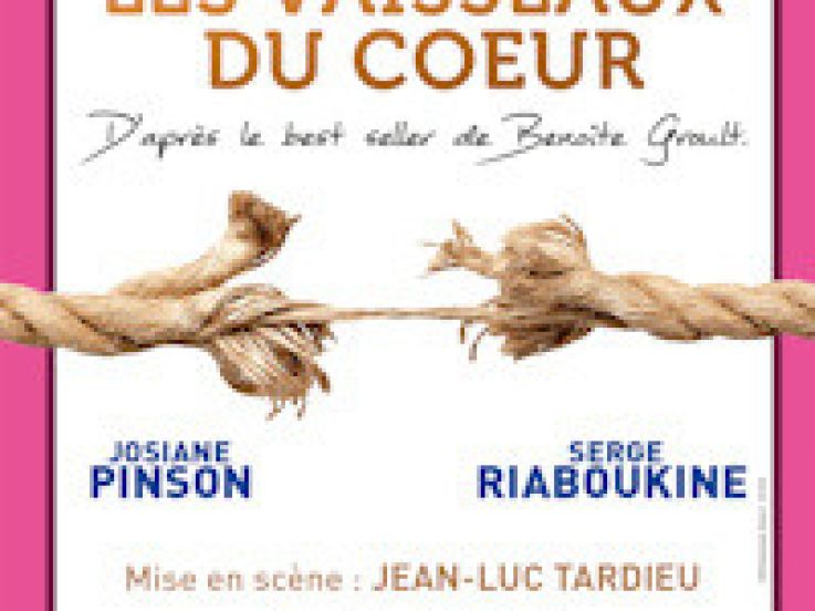 les vaisseaux du cœur