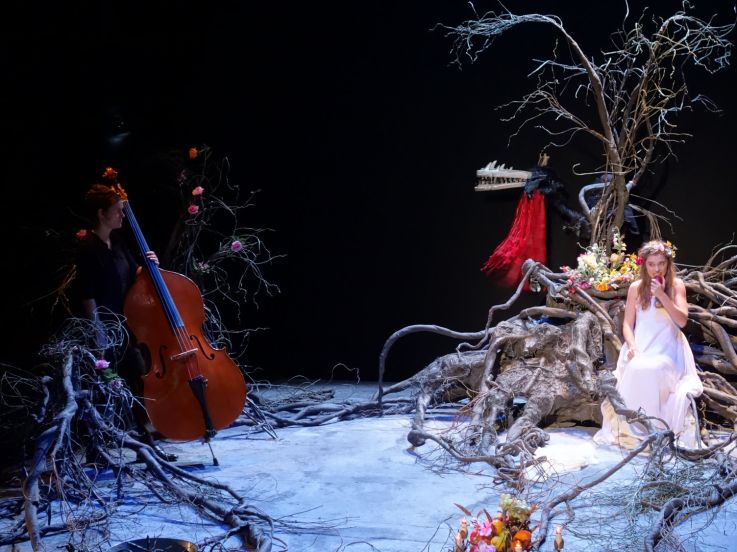 quelque part au cœur de la foret