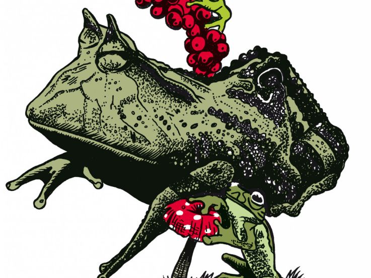 la grenouille avait raison