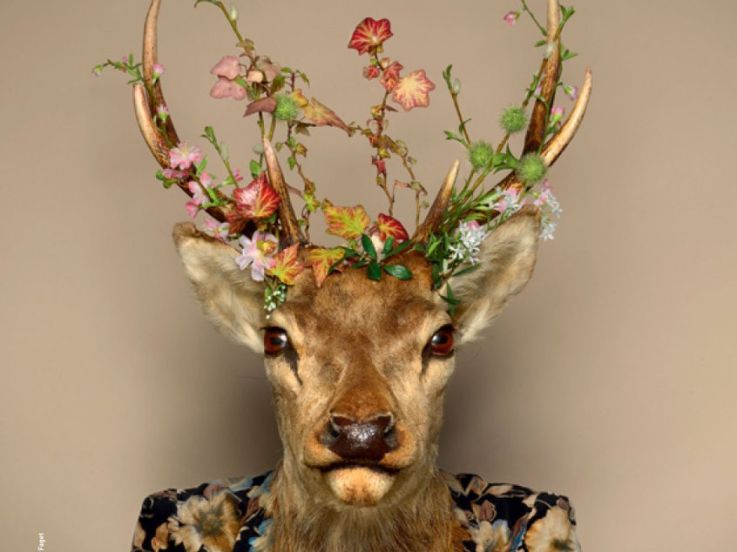 métamorphoses, theatre de l'aquarium