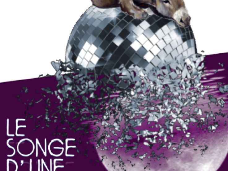 Le Songe d'une Nuit d'été à Confluences