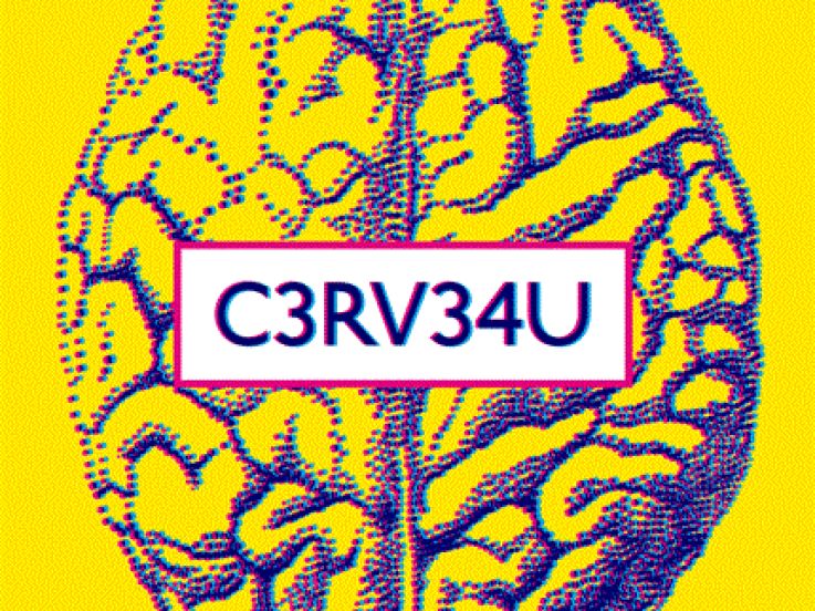 Cerveau, exposition Cité des Sciences