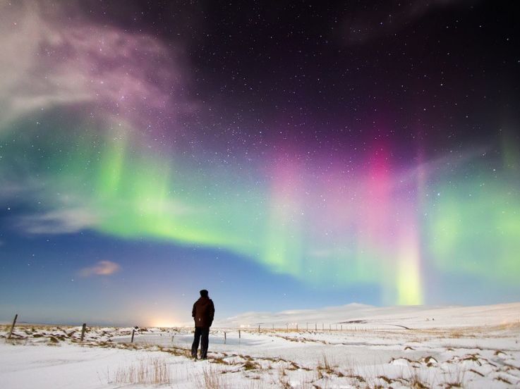  jardin de lumière IKEA
