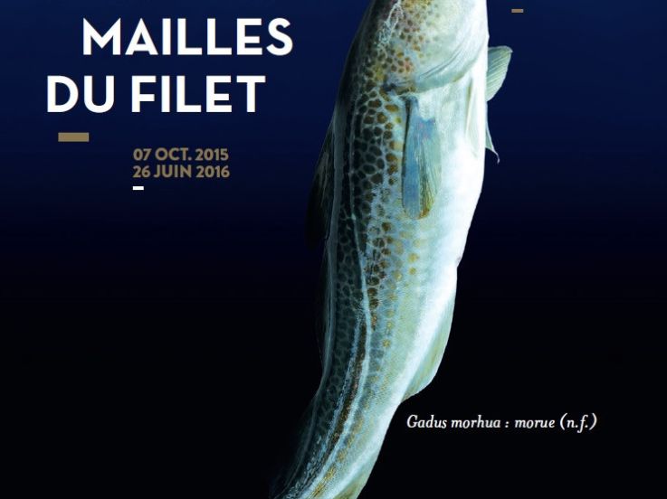 Dans les mailles du filet, l'expo au Musée de la Marine