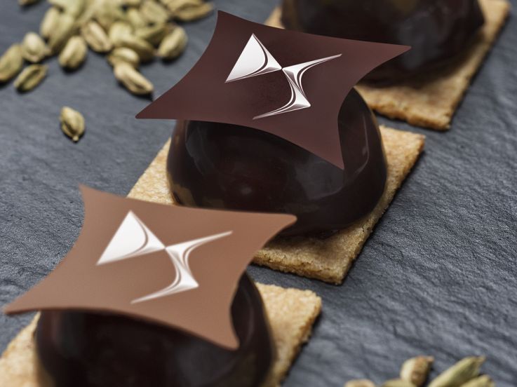 Le Chef Damien au DS World