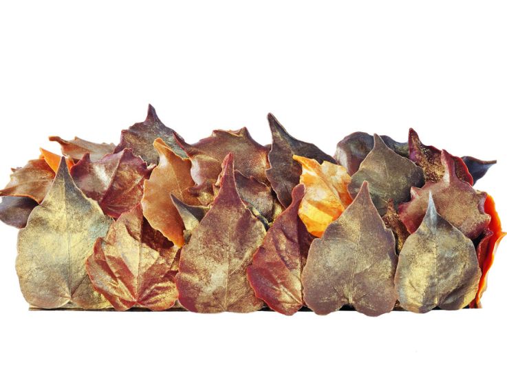 Bûche de Noël 2016 aux Etangs de Corot (Versailles)