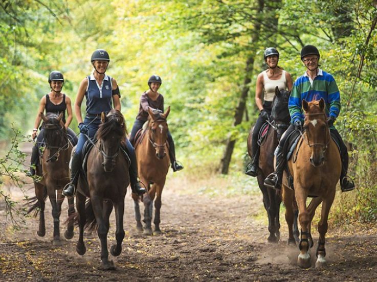 Balade à cheval dans la forêt de Saint-Germain