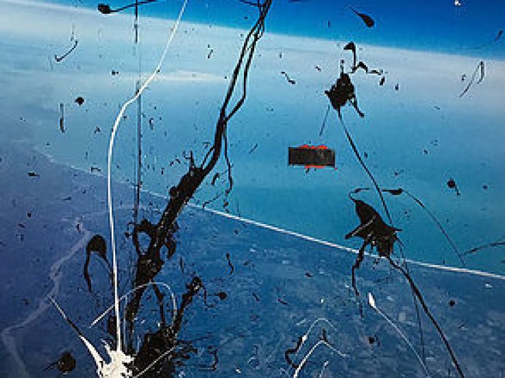 Ludovic Cesari, l'exposition à la Galerie Comparative