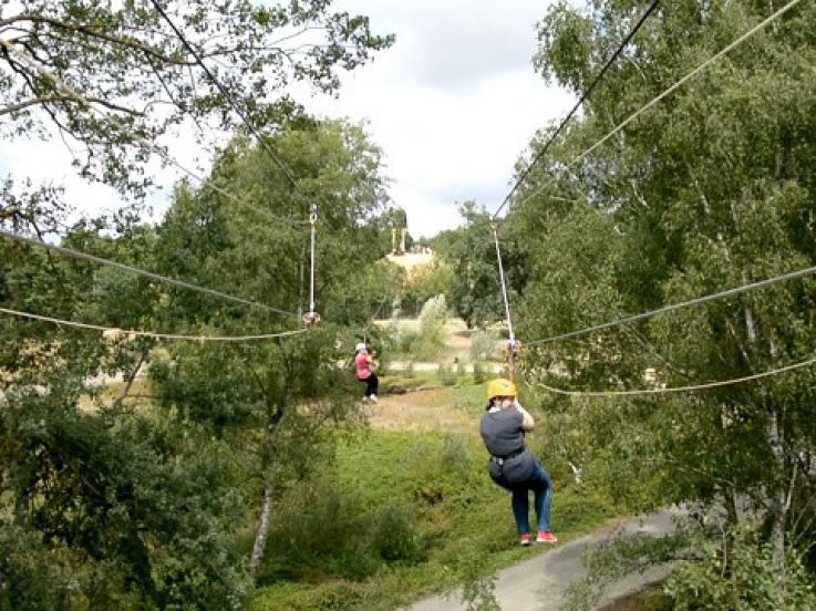Voler au-dessus des lions, la tyrolienne insolite du Zoo de Thoiry