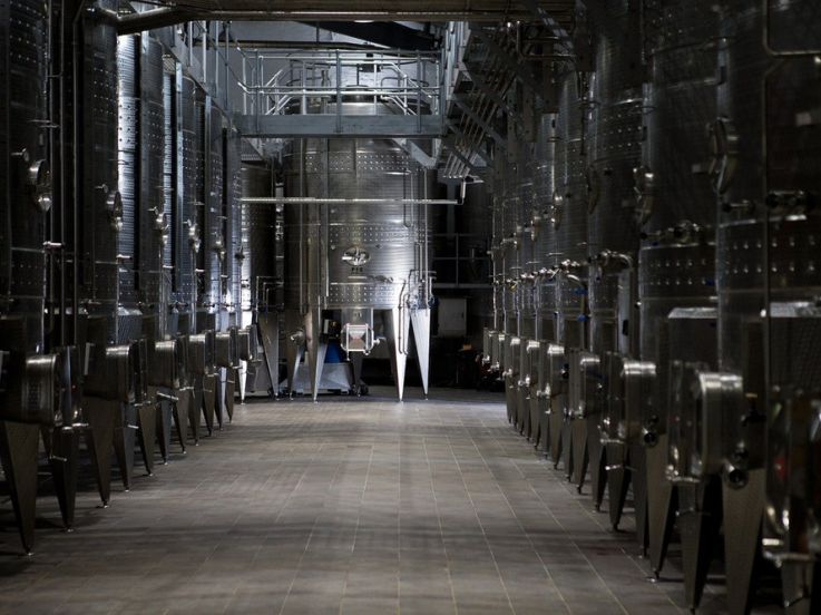 Des tonnes de vin transformés en gel hydroalcoolique ? L'Europe dit oui